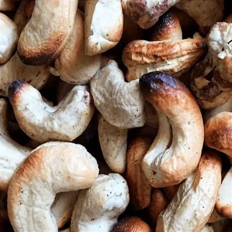 Castanha de Caju Selecionada 100g