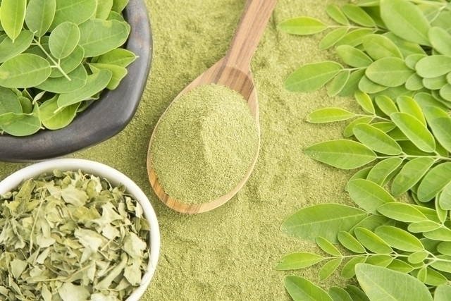 Moringa em Pó 100g