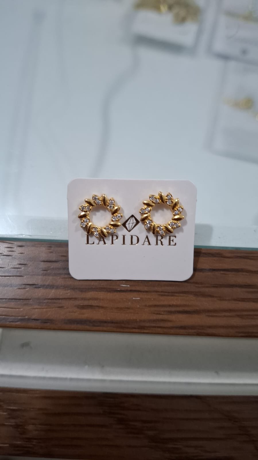 Brinco Círculo com Pedras