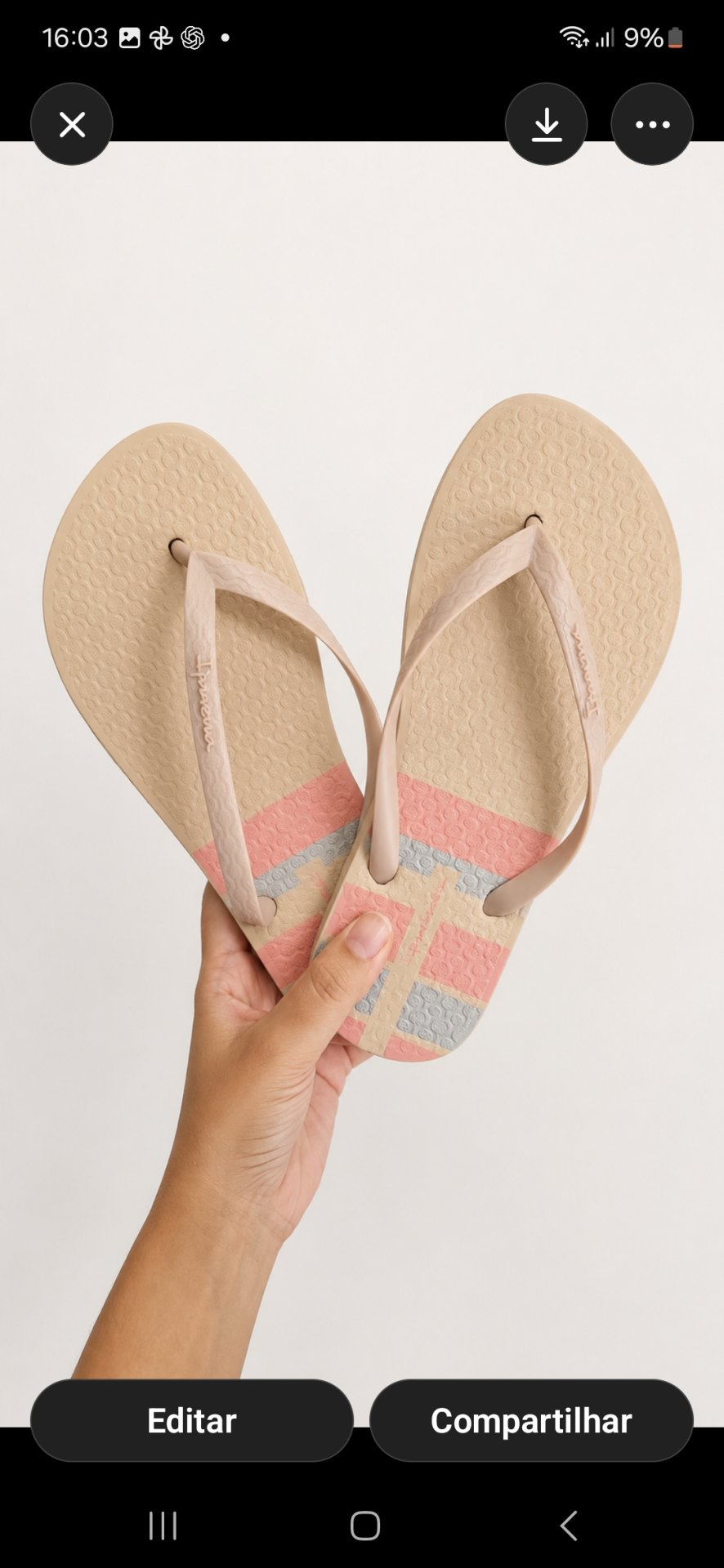 Chinelo Ipanema Day